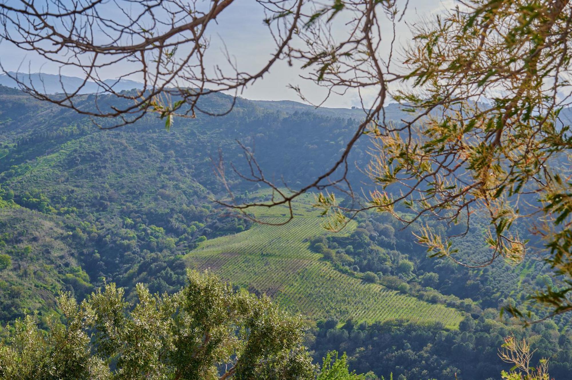 Tenuta Luogo Marchese Villa Pollina Kültér fotó